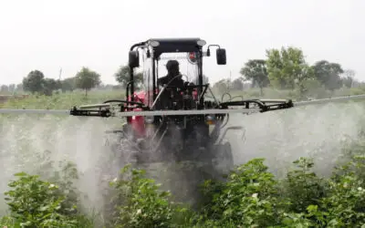 Sustainable Innovation: How Maruyama is Shaping the Future