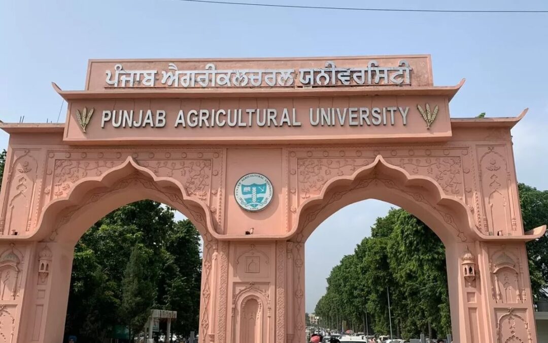 (PAU) Ludhiana Kisan Mela 13th and 14th September , 2024